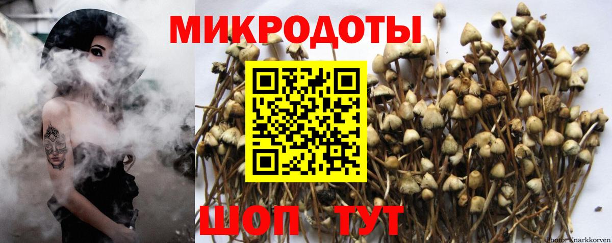Галлюциногенные грибы Psilocybe  Вход с VPN  Уварово 